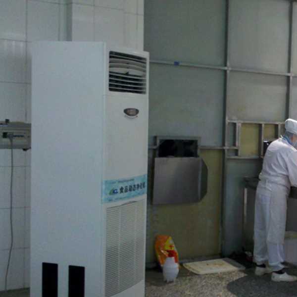 铜川食品正负离子空气杀菌器